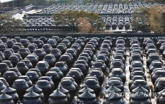 봄 햇살 머금고 장이 익어 갑니다