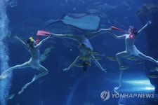 한화 아쿠아플라넷 일산 봄맞이 수중발레