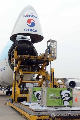 인천공항 도착한 판다 한 쌍