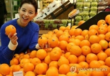 롯데마트, 오렌지 저렴하게 구입하세요~!