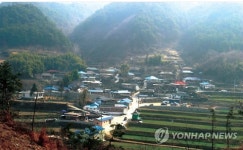 고로쇠 수확한창인 곡성 하늘나리 마을