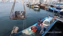 봄기운 생기 넘치는 군산 비응항