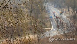 봄이 찾아온 강서한강공원