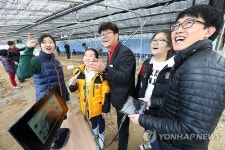 KT, 임자도 초등학교에 스마트팜 설치