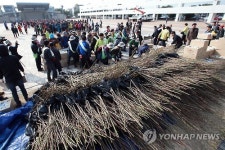 어린나무 나눠드려요