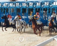 경기도지사배 승마 경주대회 27일 과천서 열려
