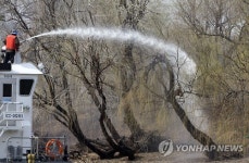 밤섬, 대청소 실시