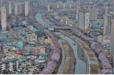 꽃과 함께 봄기운 만끽…부산 명품꽃길 10곳 추천