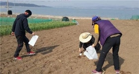 벌교 장도에 섬지역 친환경 농산물 생산기반 구축