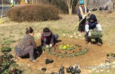 청양 도로변 봄꽃으로