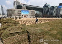 서울광장에 잔디를 심어요