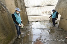 지카 바이러스를 막아라