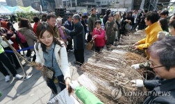 묘목 가져가세요.