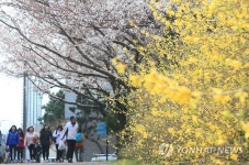화사한 제주