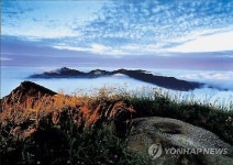 소백산 영주에 빼앗긴 단양의 반격…주현미의 단양 소백산