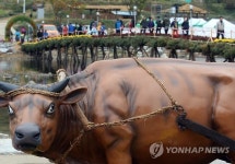 횡성한우 체험공간 섬강감성문화마을 내달 착공