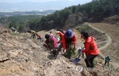 벌거숭이 산에 나무를 심어요