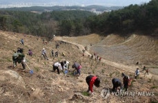 벌거숭이 산에 나무를 심어요