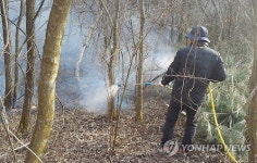 초기 진화작업