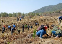 <카메라뉴스> 장수군, 계남면서 나무심기 행사