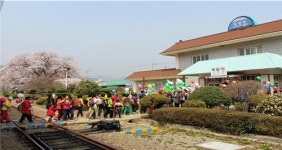 부부 벚꽃을 아시나요…득량역 부부벚꽃축제 열려