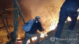 소백산 불 국립공원 삼킬 뻔…사투끝 500ｍ 남기고 방어(종합)