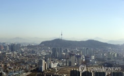 봄은 푸르다