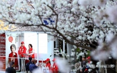 <총선> 봄의 절정 아래 뜨거운 유세