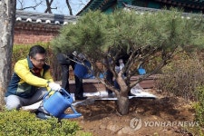 용산구, 유관순 열사 추모 식수
