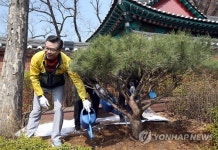 용산구, 유관순 열사 추모 식수