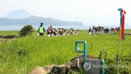 청보리와 함께 봄을…제주 가파도 청보리축제 9일 개막