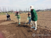 도심속 무료텃밭, 성남시민농원 9일 개장
