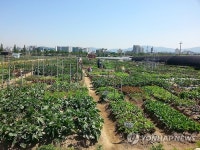 도심속 무료텃밭, 성남시민농원 9일 개장