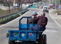 <주말 N 여행> 불영계곡 골골에 진달래… 울진의 봄