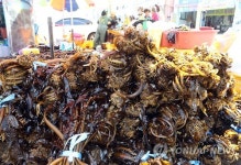 기장 미역·다시마 축제 개막…체험행사 풍성