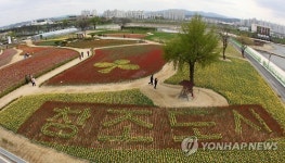 포항은 튤립 천국