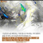 <카드뉴스> 이거 제 소관 아닙니다만…시민 피해 낳는 칸막이 행정