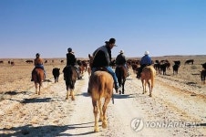 한국 넓이 땅 보유 호주 목장기업, 중국이 인수키로
