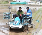 영덕서 첫 모내기