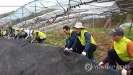 영농지원도 감사업무처럼 꼼꼼하게