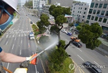 서초동명물 향나무 물청소
