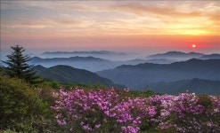 올해의 관광도시 무주로 놀러 오세요