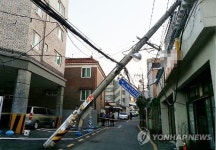 주택가 쓰러진 전봇대