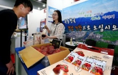 거창사과를 갈아만든 사과즙 드세요~