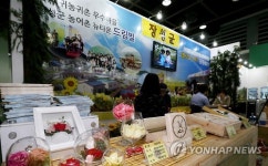 편백나무숲으로 오세요