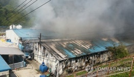 진안 돼지농장서 불…2천여마리 폐사·1억9천여만원 피해