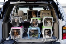 이렇게 힘들어서야… 광주시 유기동물 보호·관리 골머리
