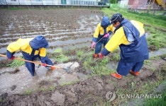 비내린 뒤 농사 준비