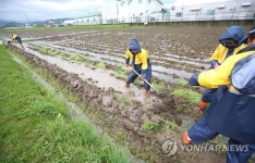 비내린 뒤 농사 준비