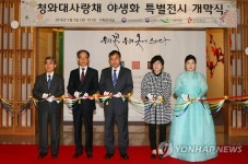 야생화 특별전시회